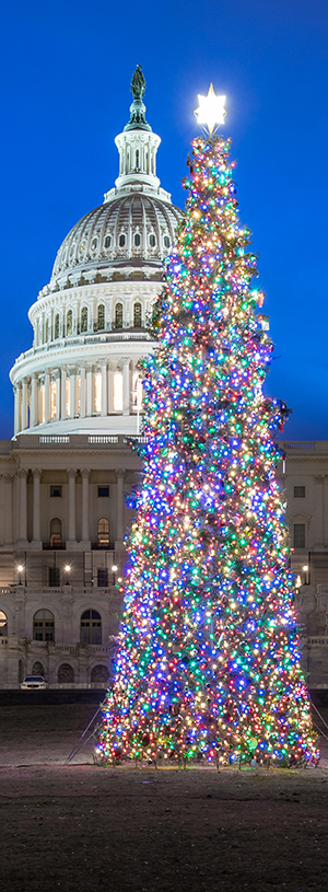 The Capitol Christmas Tree, 2021, Architect of the Capitol