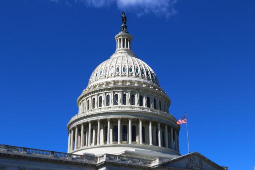 Capitol Dome